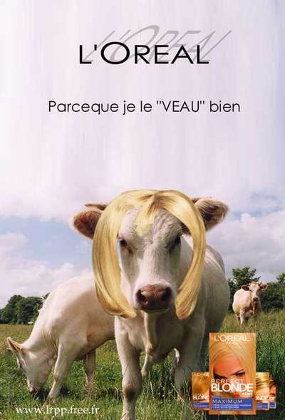 Mardi 16 août 2005